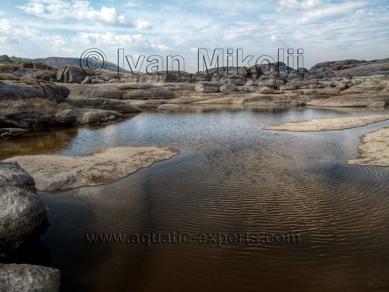 FOTOS DE PAISAGES DEL ESTADO AMAZONAS